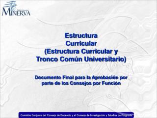 Estructura Curricular (Estructura Curricular y Tronco Común Universitario)