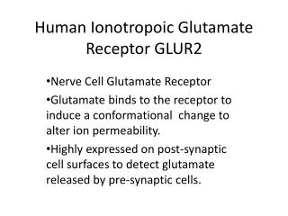 Human Ionotropoic Glutamate Receptor GLUR2