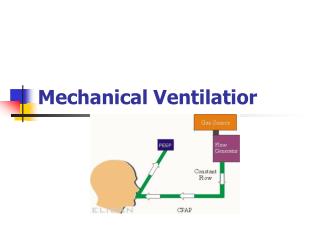 Mechanical Ventilatior