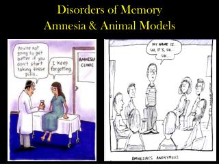 Disorders of Memory Amnesia &amp; Animal Models