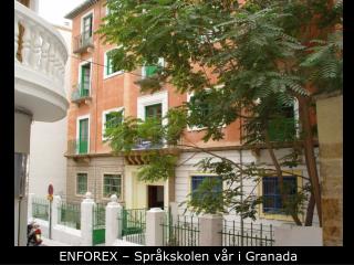 ENFOREX – Språkskolen vår i Granada