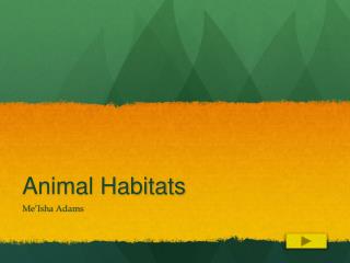 Animal Habitats