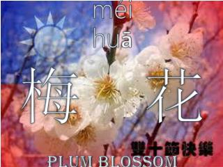 méi huā 梅 花 Plum Blossom