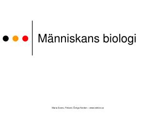 Människans biologi