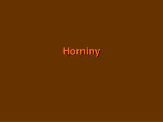 Horniny