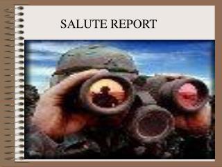SALUTE REPORT