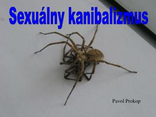 Sexuálny kanibalizmus