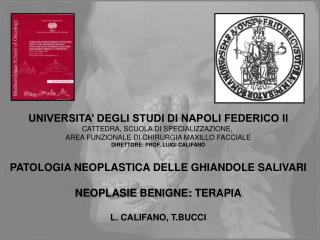 UNIVERSITA’ DEGLI STUDI DI NAPOLI FEDERICO II CATTEDRA, SCUOLA DI SPECIALIZZAZIONE,