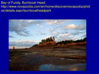 Bay of Fundy, Burntcoat Head: flickr/photos/rexton/127635673/