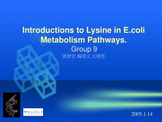 Introductions to Lysine in E.coli Metabolism Pathways. Group 9 張智宏 楊翊文 王翔昱