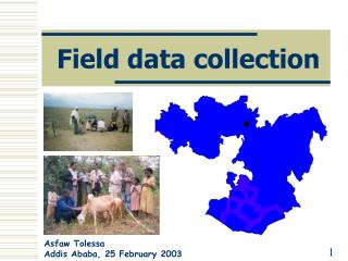 Field data collection