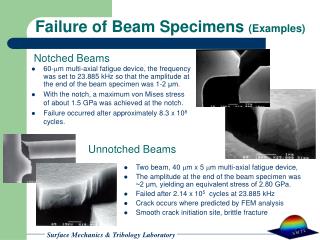 Failure of Beam Specimens (Examples)