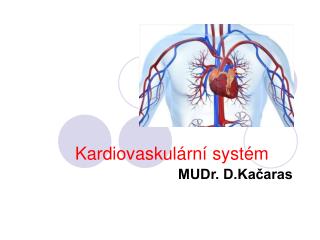 Kardiovaskulární systém