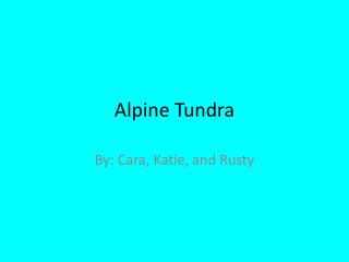 Alpine Tundra
