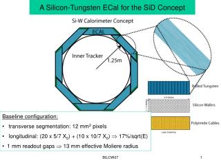 A Silicon-Tungsten ECal for the SiD Concept