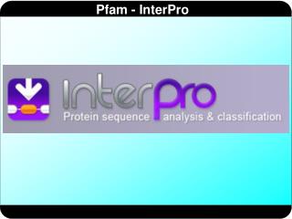 InterPro: Sistema de búsqueda integrada