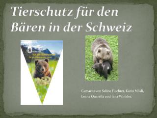 Tierschutz für den Bären in der Schweiz
