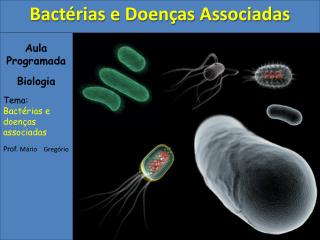 Aula Programada Biologia Tema: Bactérias e doenças associadas Prof. Mário Gregório