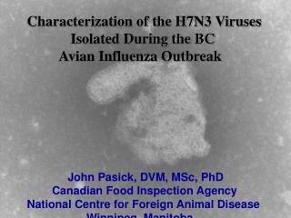 Characterization of the H7N3 Viruses Isolated During the BC