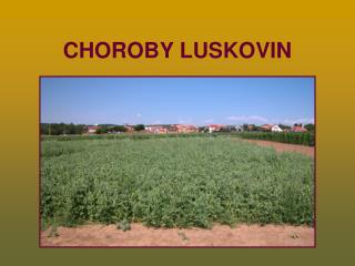CHOROBY LUSKOVIN