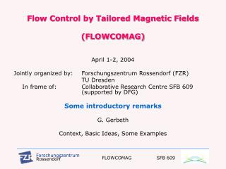 Flow Control by Tailored Magnetic Fields (FLOWCOMAG)