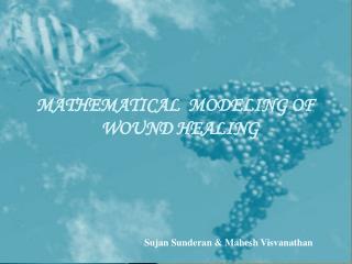MATHEMATICAL MODELING OF WOUND HEALING