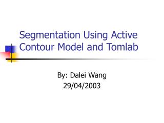 Segmentation Using Active Contour Model and Tomlab