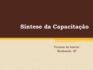 Síntese da Capacitação