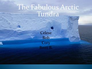 The Fabulous Arctic Tundra .