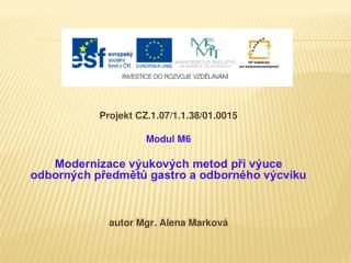 Projekt CZ.1.07/1.1.38/01.0015 Modul M6