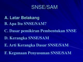 SNSE/SAM