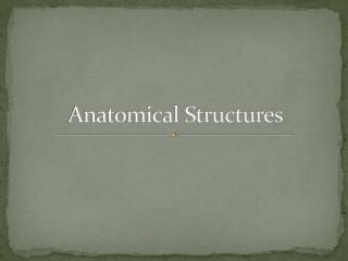 Anatomical Structures