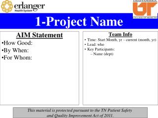 1-Project Name