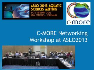 C-MORE Networking Workshop at ASLO2013