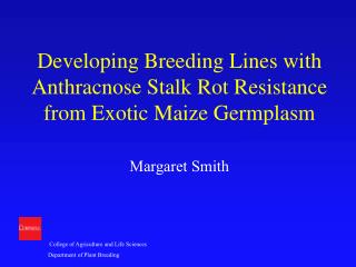 Developing Breeding Lines with Anthracnose Stalk Rot Resistance from Exotic Maize Germplasm