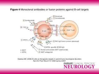 Dalakas MC (2008) B cells as therapeutic targets in autoimmune neurological disorders