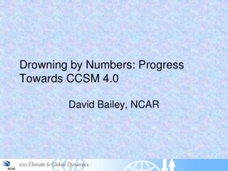 Drowning by Numbers: Progress Towards CCSM 4.0