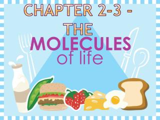 Chapter 2-3 - the