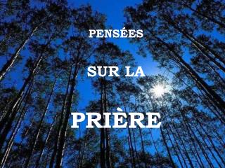PENSÉES