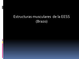 Estructuras musculares de la EESS (Brazo)