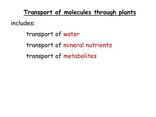 Transport of molecules through plants includes: 	transport of water 	transport of mineral nutrients 	transport of met