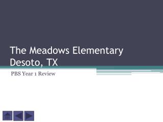 The Meadows Elementary Desoto, TX