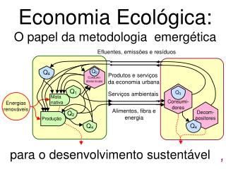 Economia Ecológica: O papel da metodologia emergética