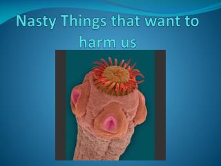 Nasty Things that want to harm us
