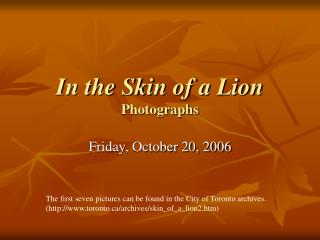 In the Skin of a Lion Photographs