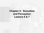 Chapter 4: Sensation and Perception Lecture 6 7