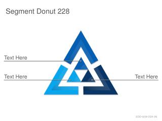 Segment Donut 228