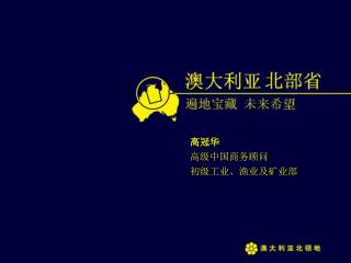 高冠华 高级中国商务顾问 初级工业、渔业及矿业部