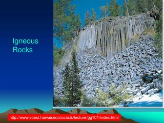 Igneous Rocks