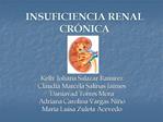 INSUFICIENCIA RENAL CR NICA